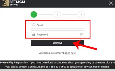 Input your login details & personal information