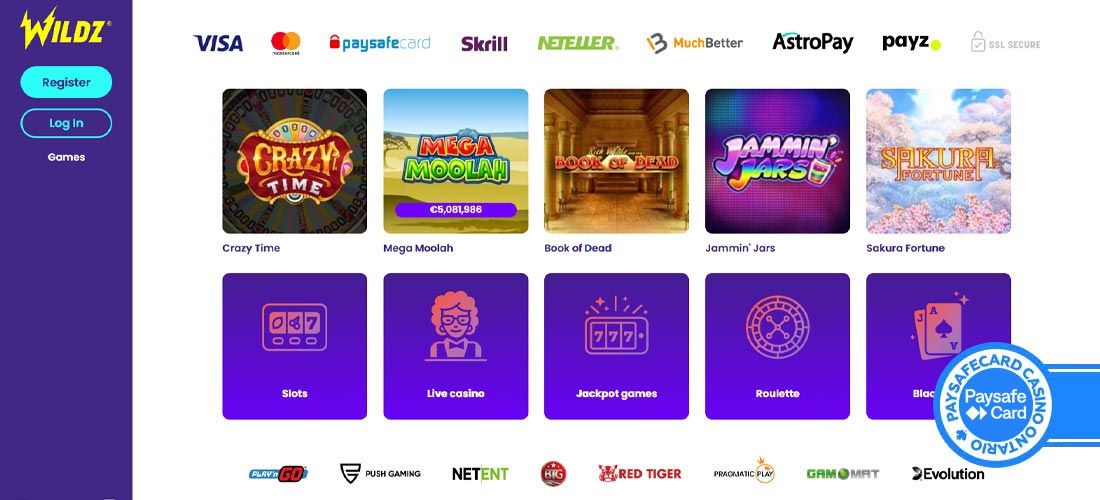 Screenshot of the Wildz Casino payment section