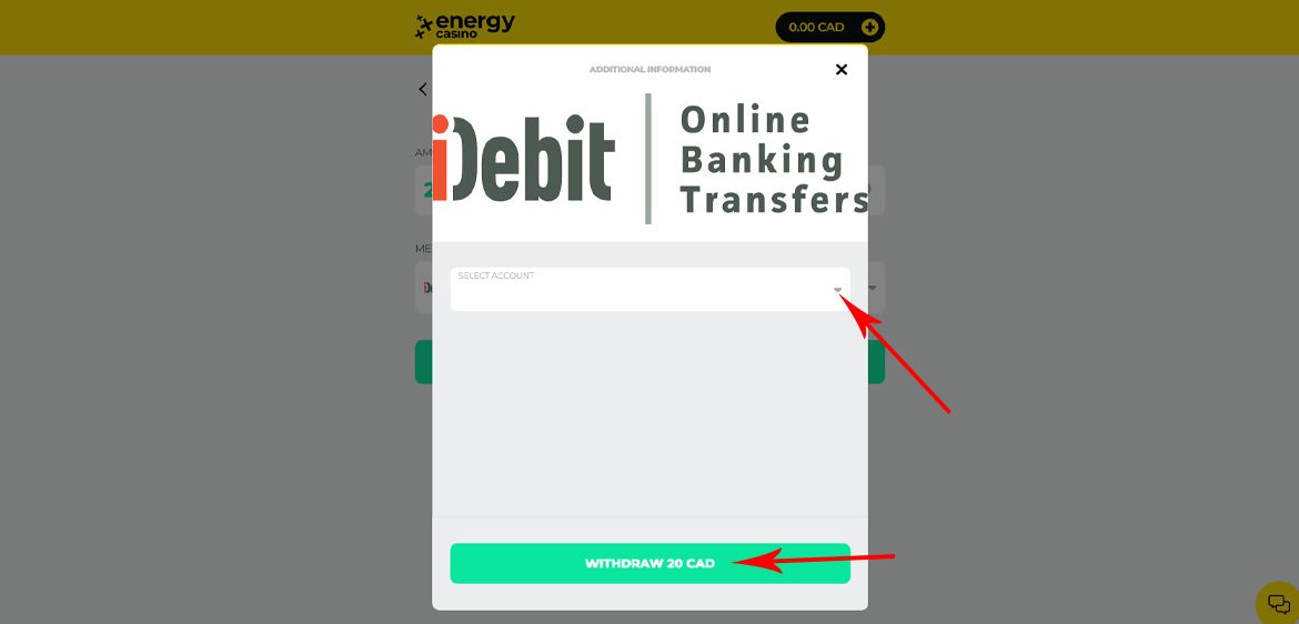 How to Make a Withdrawal Using iDebit – Step 5